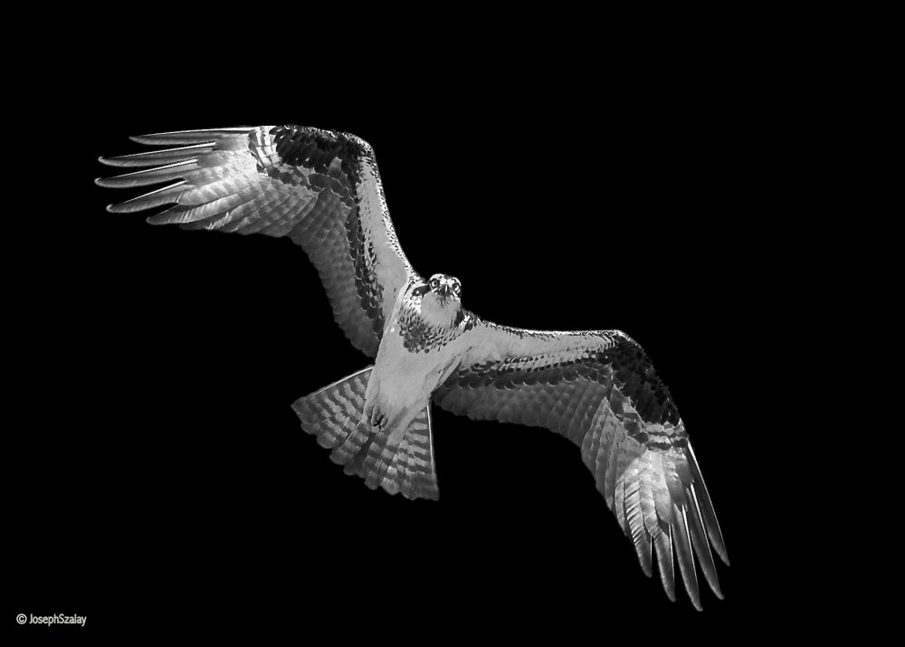 _DSC6634 - Version 3.jpg