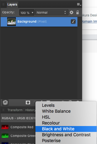 How to make a photo black and white in affinity