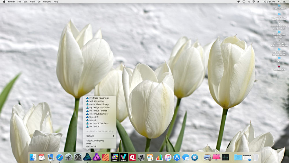 Screen Shot 2019-03-21 at 9.31.28 AM.png