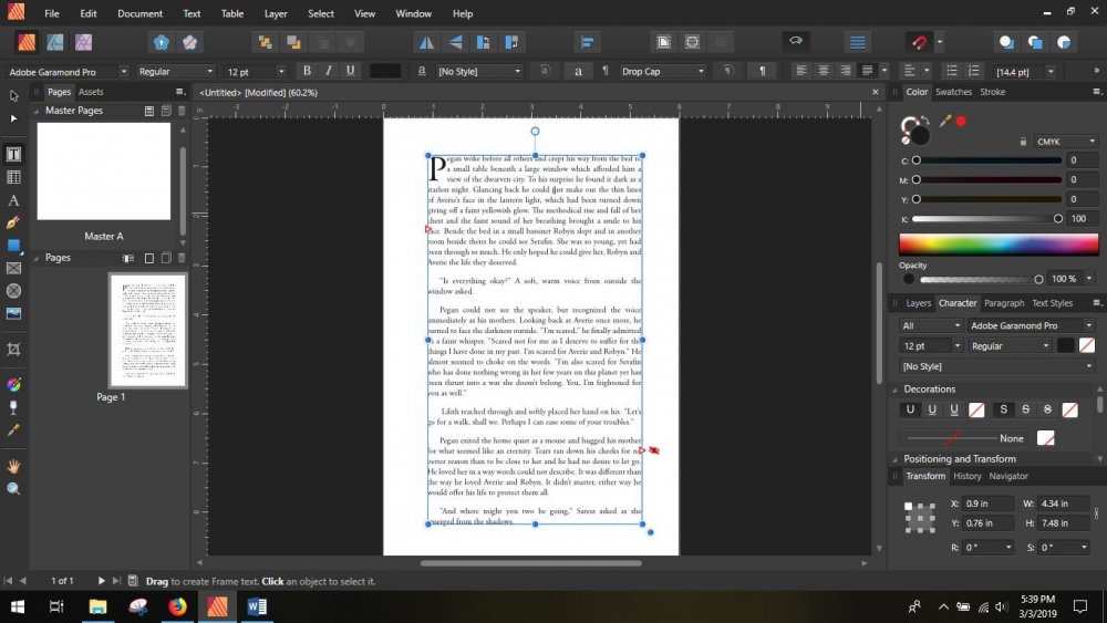 affinity publisher screen shot 2.JPG