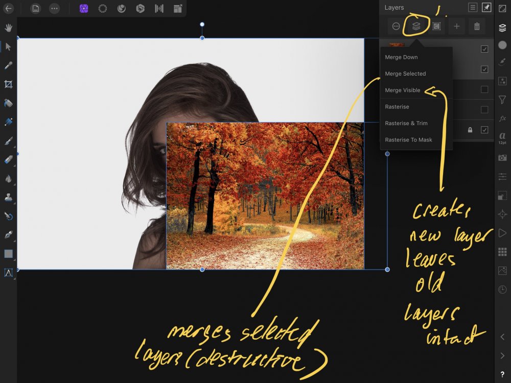 Serif affinity photo 1.9.1