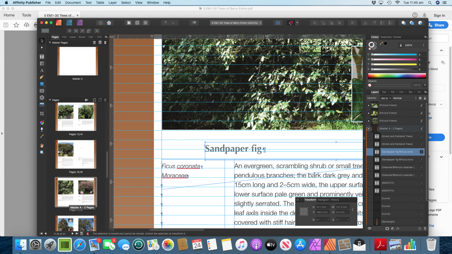 Screen Shot 2020-03-24 at 11.45.58 am.png