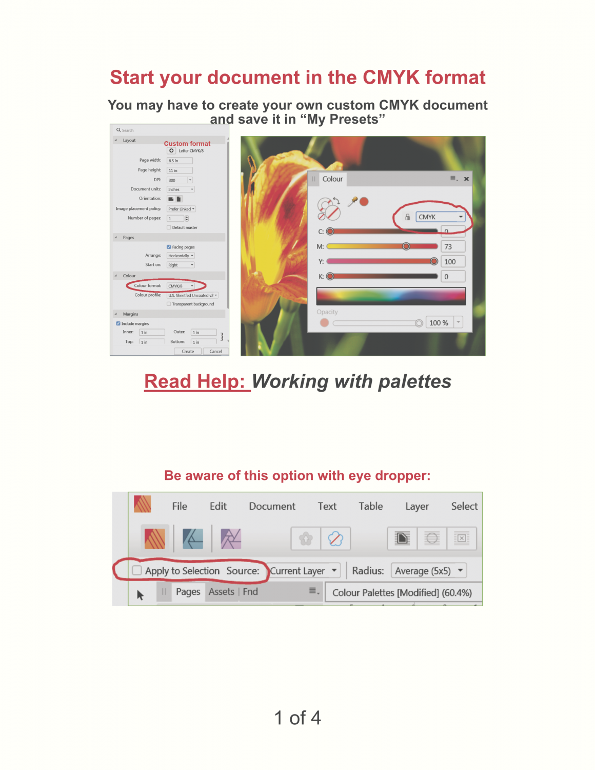 Colour Palettes_1.png