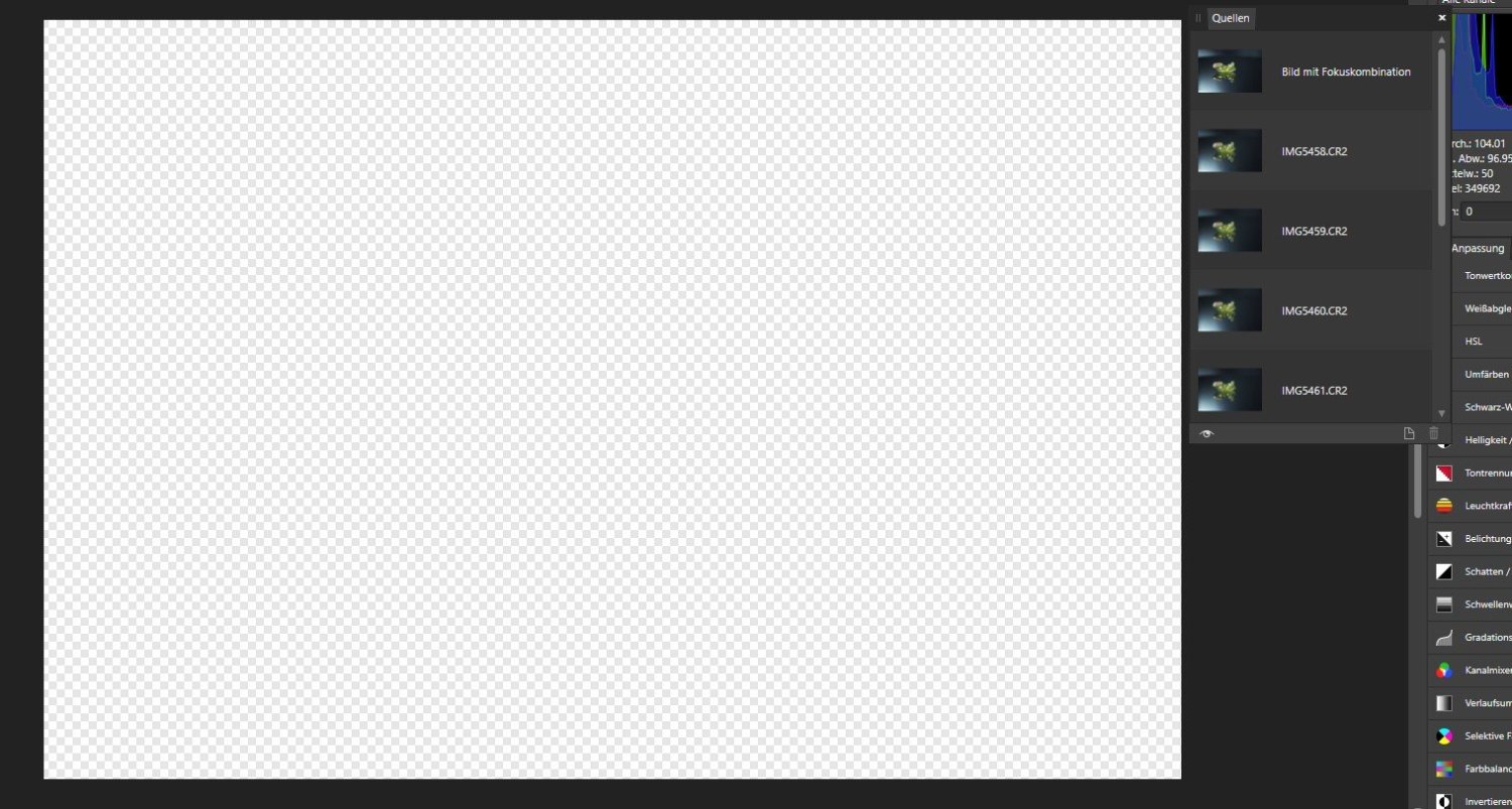 2 End_Fokusstack.jpg