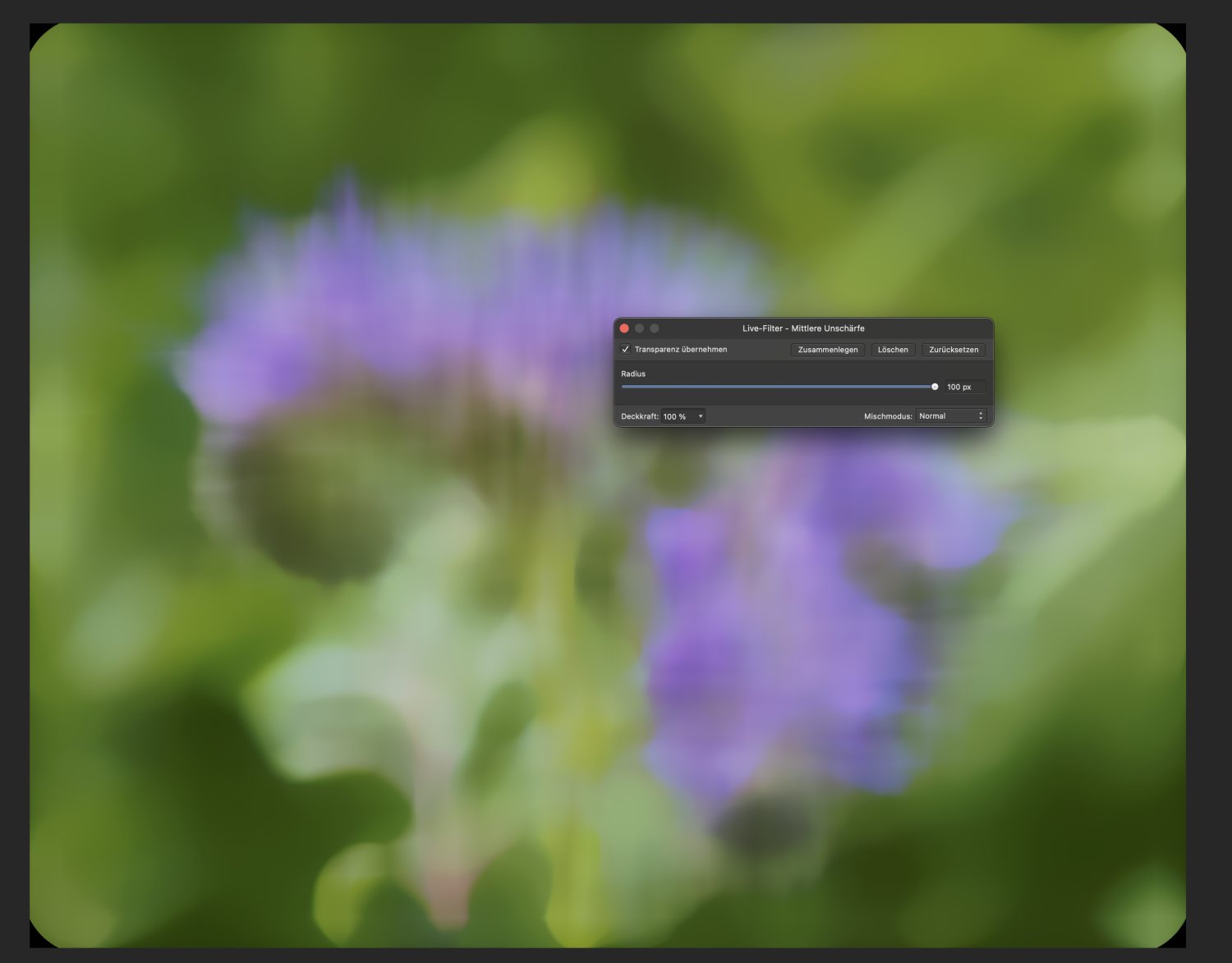 Median Filter creates black corners V1 Bugs found on macOS Affinity