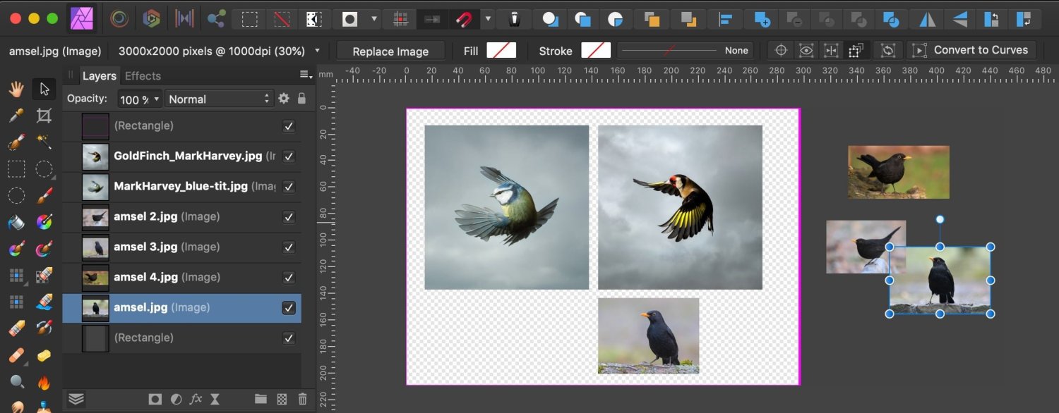 Pasteboard in Affinity photo PreV2 Archive of Affinity on Desktop Questions (macOS and