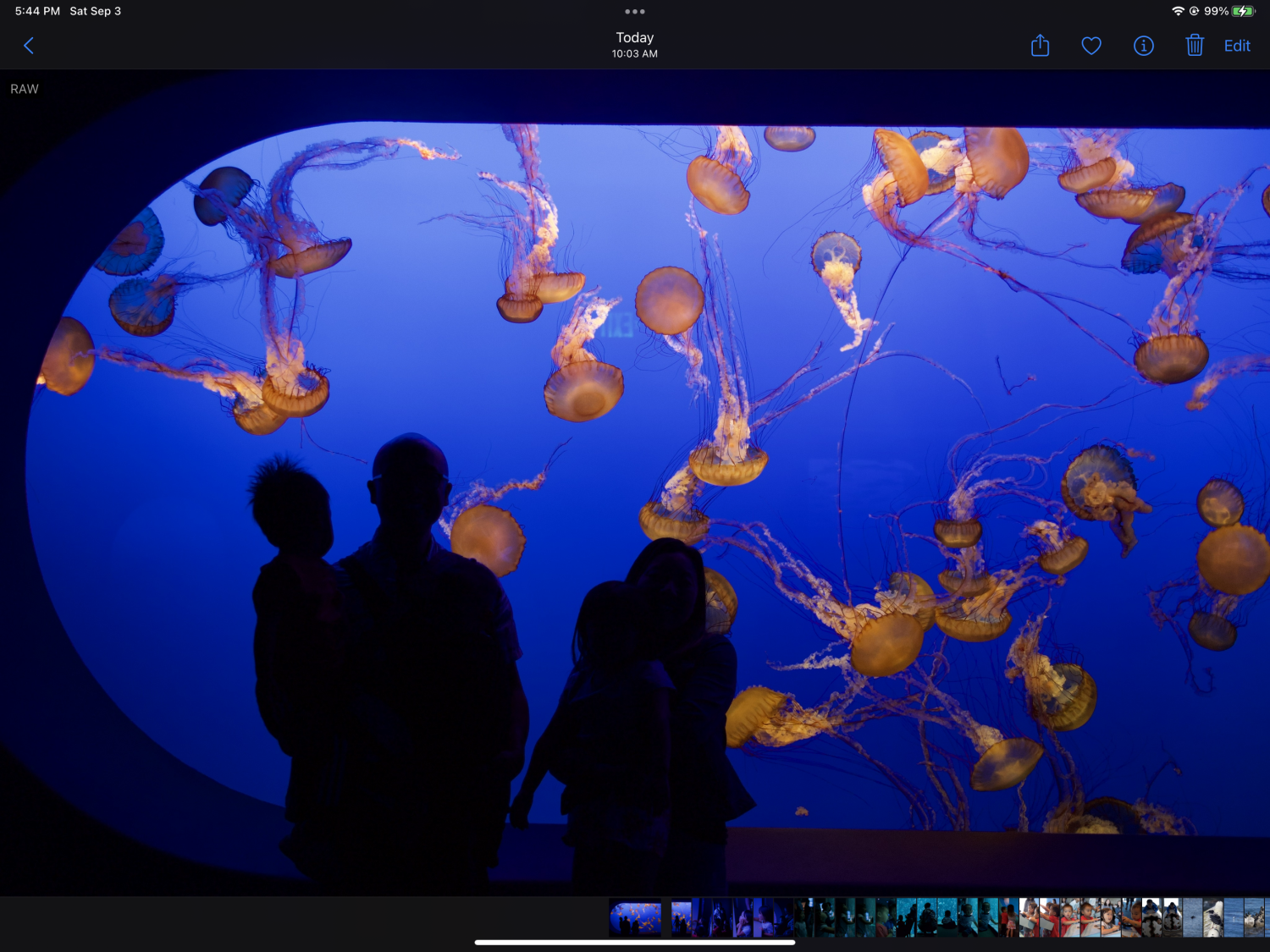 Light blues of imported raw image turned magenta v1 bugs found on