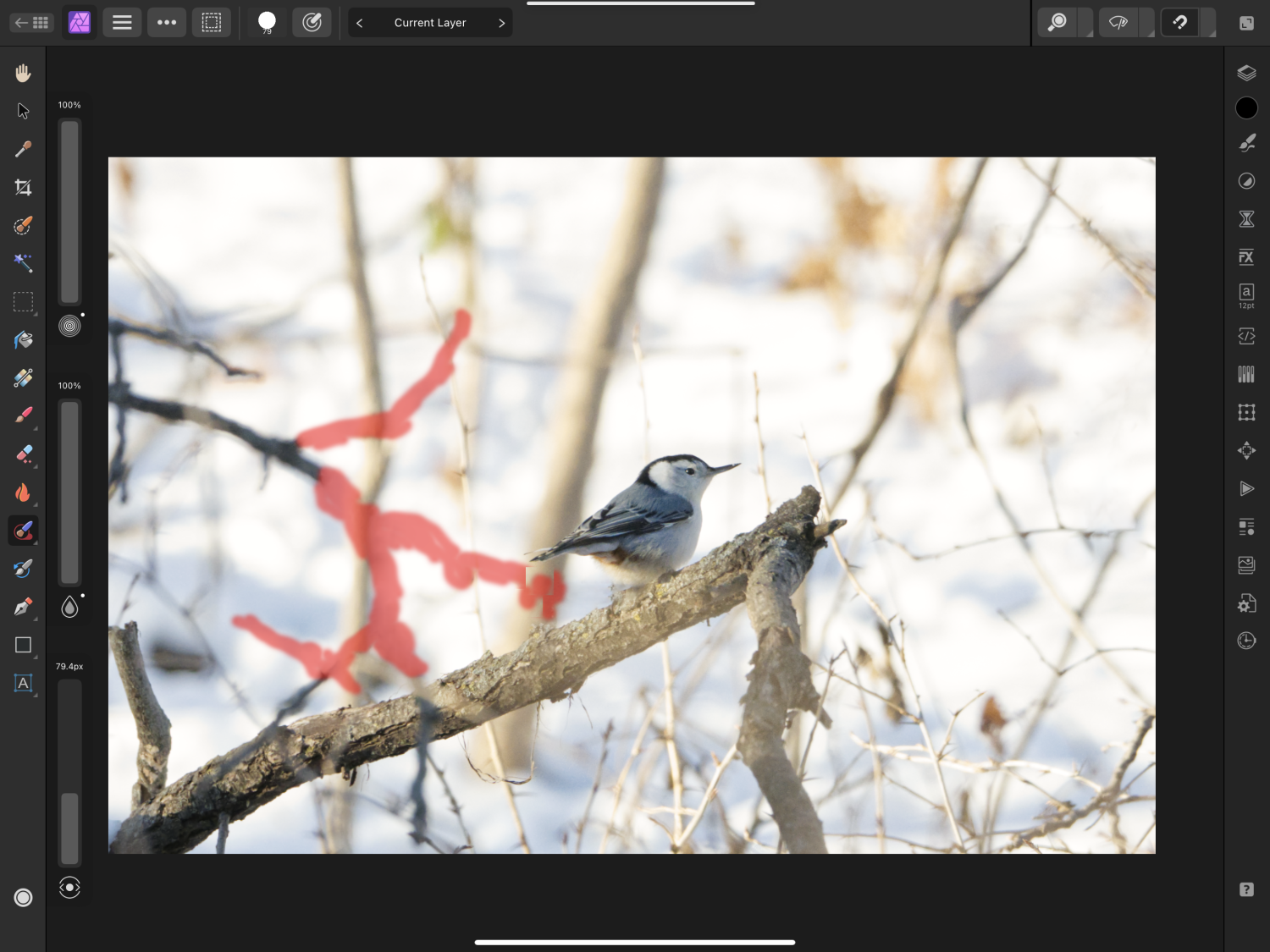Inpainting Brush issues - V2 Bugs found on iPad - Affinity | Forum