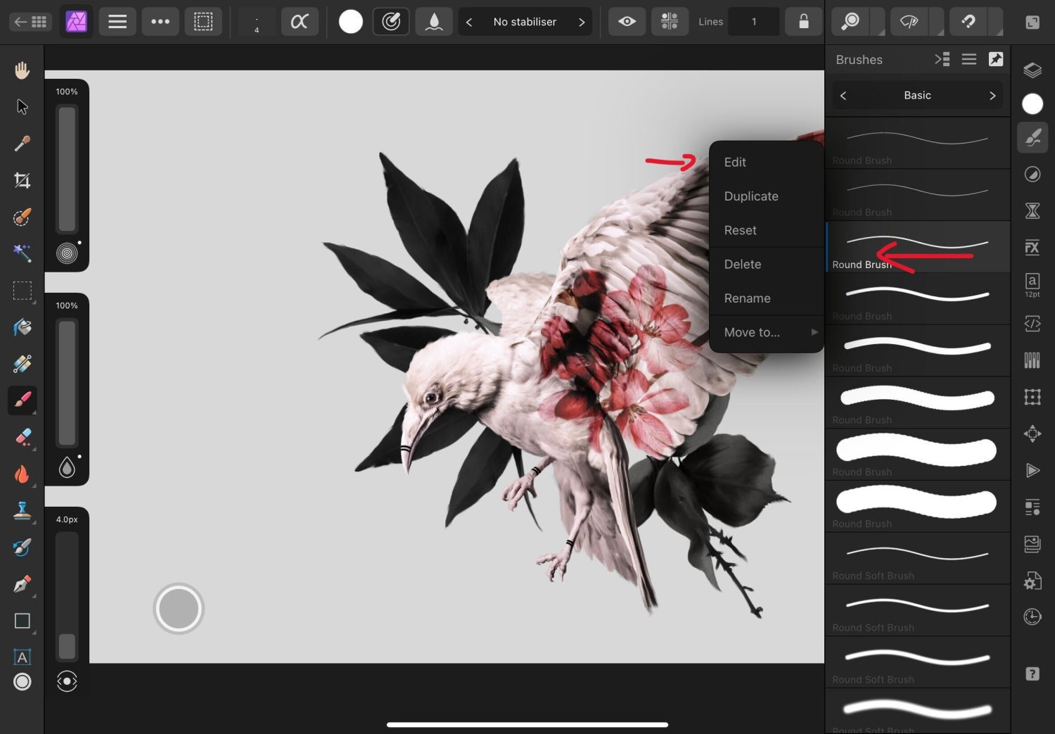 Settings for Vector Brush Tool? Affinity on Desktop Questions (macOS