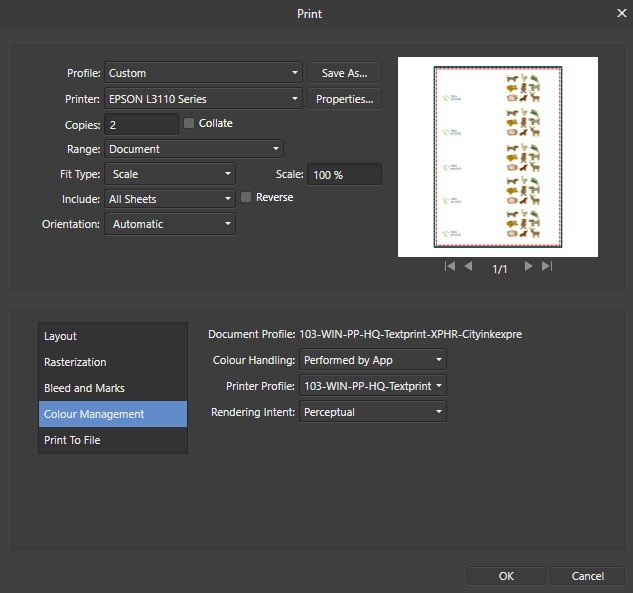 Error printing on Epson printer - V1 Bugs found on Windows - Affinity ...