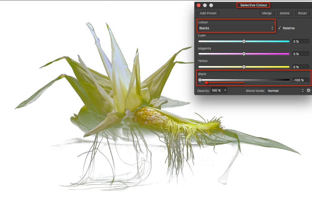 Line Drawings Affinity on Desktop Questions (macOS and Windows