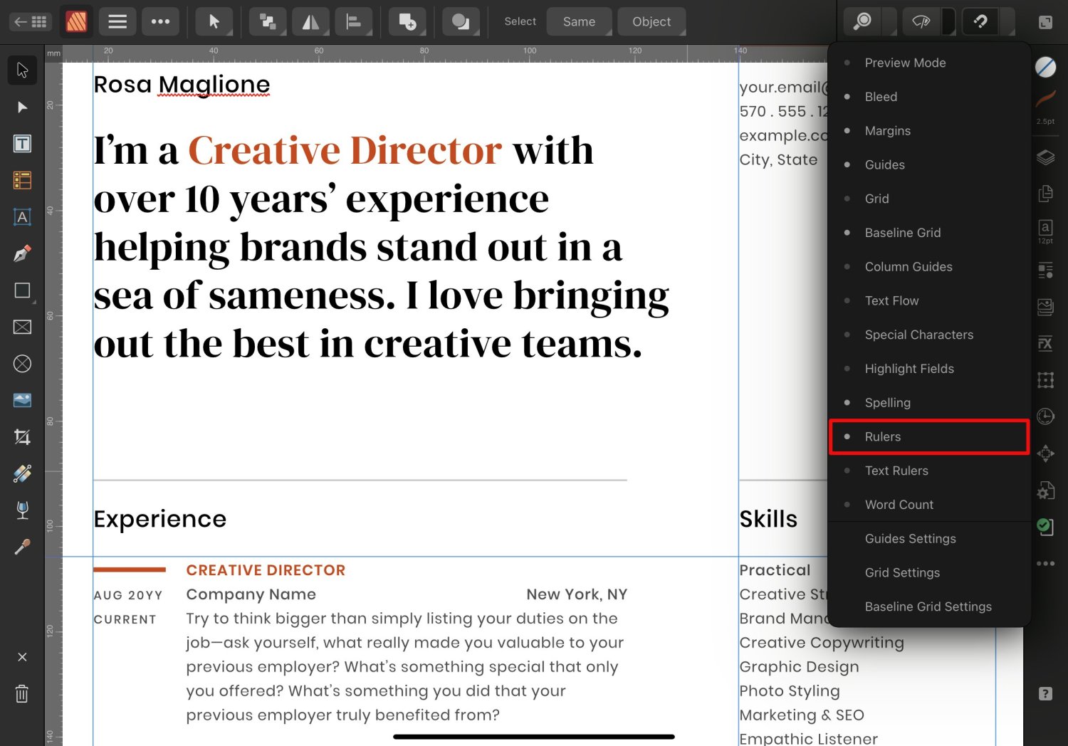 Main view rulers added to iPad versions [ARCHIVE] 2.4, 2.3, 2.2 & 2.1