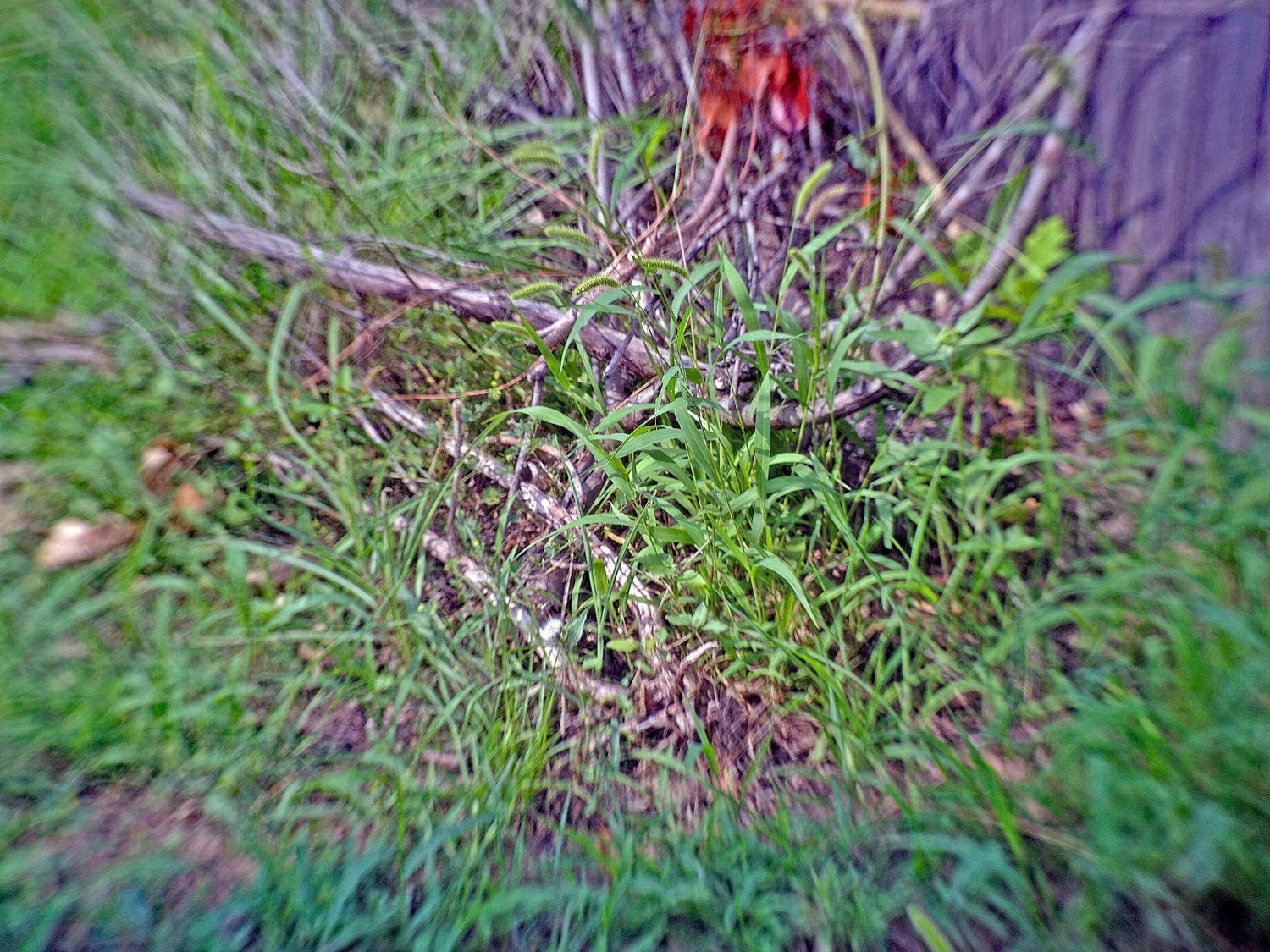 Adobe Level Dehaze HighlightShadow   .jpg