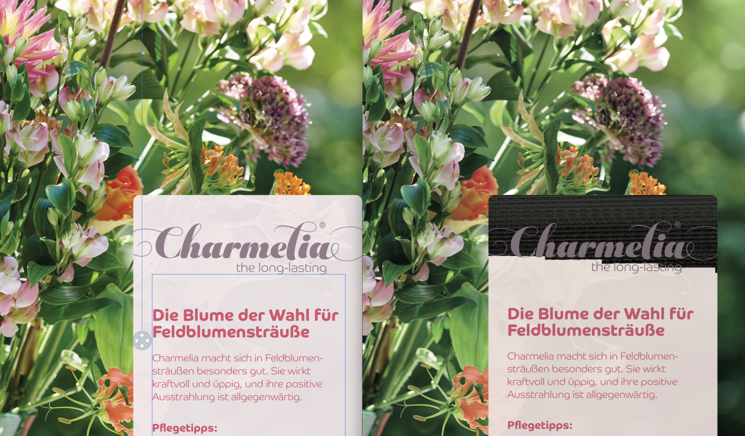 Scherm­afbeelding 2023-09-07 om 16.44.12.png