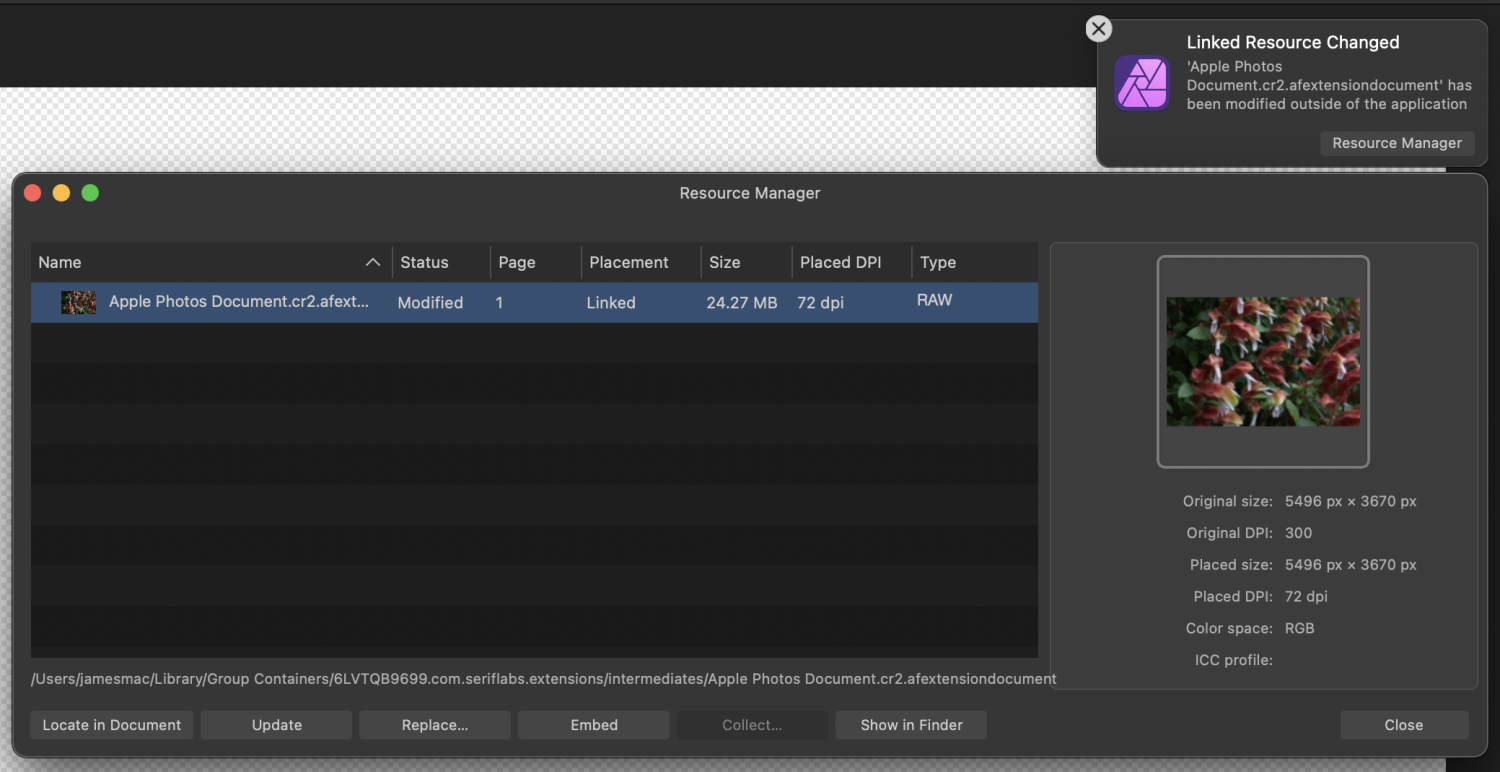 Screenshot 2024-09-14 at 10.29.49 AM.png